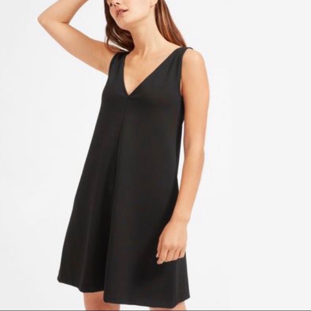 Everlane Black V-Neck Sleeveless A-Line Dress